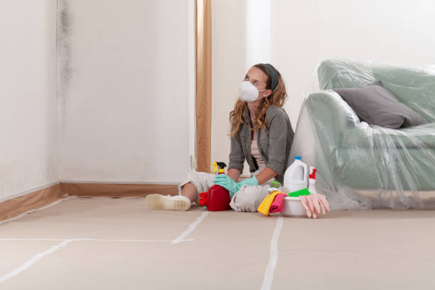 Reliable Basement Mold Remediation contractor in Orange Park, FL by WQB Mold Removal